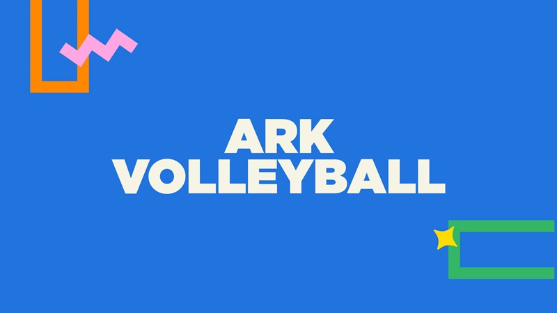 Volleyball
